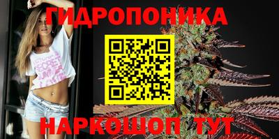 круглые Обь