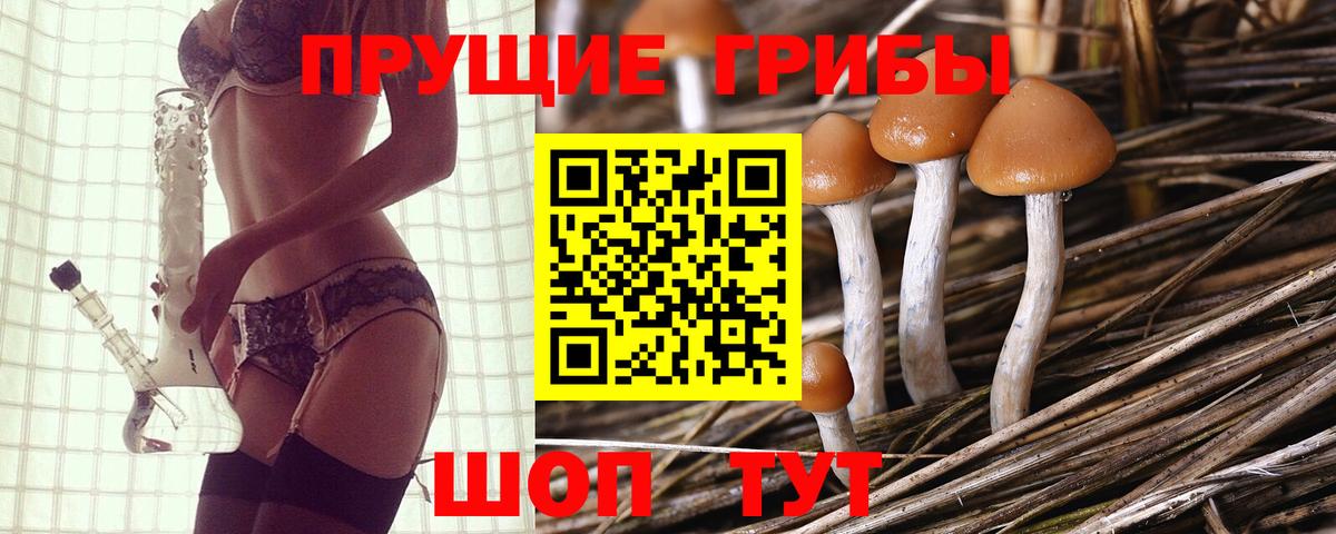 Свободный  Галлюциногенные грибы мицелий  Вход с VPN 